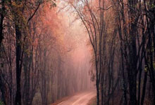 吉尔吉斯斯坦足球协会发布全新赛季日程