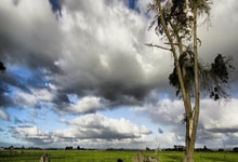 跆拳道选手力压众多对手斩获金牌殊荣