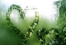 中非足球球员托马斯犯规被罚下场